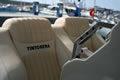 Tintorera
